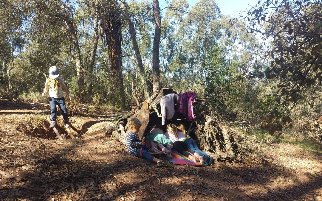 A floresta como espaço de aprendizagem e experiência