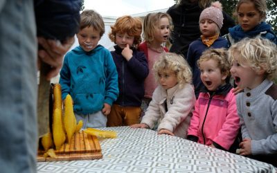 One year with the bees – lived knowledge in Kindergarden